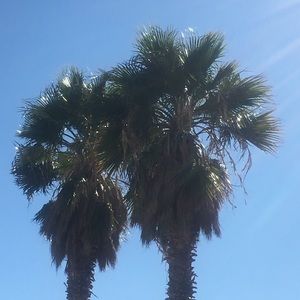 Meet your Posher, Kaliyah